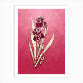 Vintage German Iris Botanical in Gold on Viva Magenta n.0241 Art Print