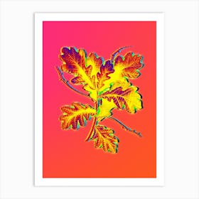 Neon English Oak Botanical in Hot Pink and Electric Blue n.0461 Art Print