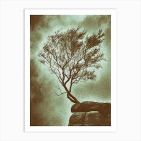 Outcrop Tree Art Print
