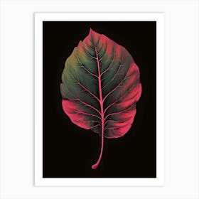 Leaf On A Black Background Art Print