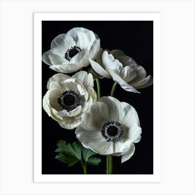 Poster White Beauty 6 Art Print