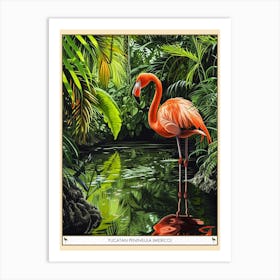 Greater Flamingo Yucatn Peninsula Mexico Tropical Illustration 3 Poster Art Print