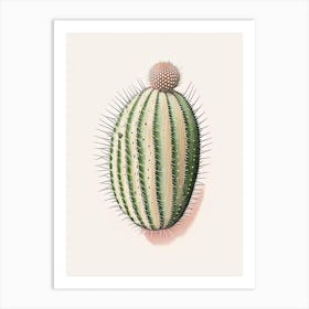 Pincushion Cactus Marker Art 1 Art Print