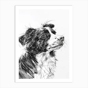 Miniature American Shepherd Dog Line Sketch 2 Art Print