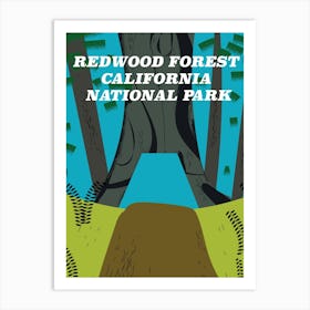 Redwood Forest California National Park Art Print