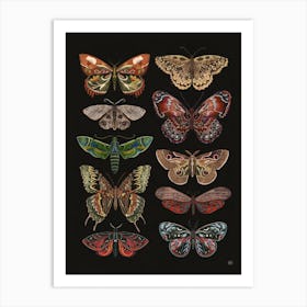 Moths And Butterflies folk art Art Print