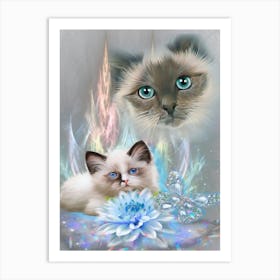 Two Cats With Blue Eyes Art Print