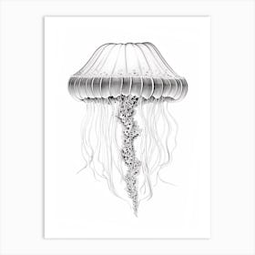 Box Jellyfish Drawing 1 Art Print