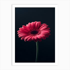 Pink Gerbera Flower 1 Art Print