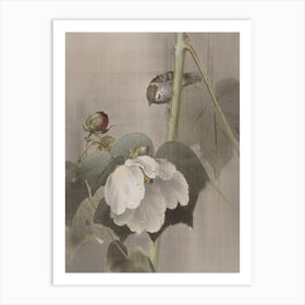 Bird On Flower Art Print