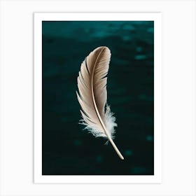 Feather Feather Art Print