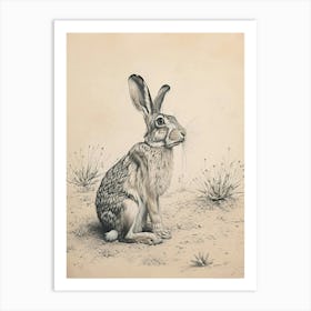 Lionhead Rabbit Drawing 1 Art Print