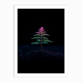 Small Tree On The Ground Art Print