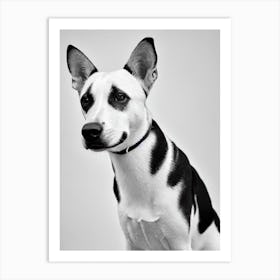 Basenji B&W Pencil Dog Art Print