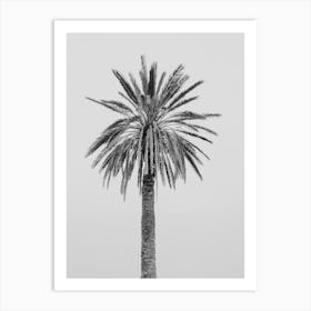 Italian Palm Art Print