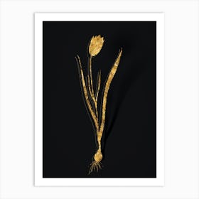 Vintage Lady Tulip Botanical in Gold on Black n.0594 Art Print