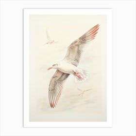 Vintage Bird Drawing Seagull 3 Art Print