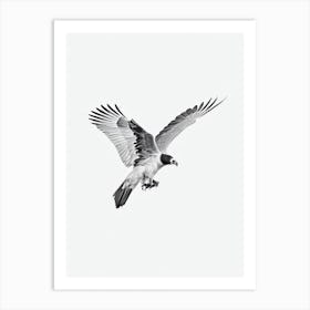 Vulture B&W Pencil Drawing 3 Bird Art Print