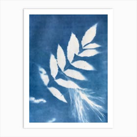 Fern In Blue Ink Art Print