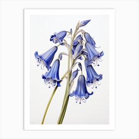 Bluebells Flower Vintage Botanical 1 Art Print
