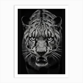 Tiger In Black And White Art Print