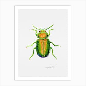 Chrysolina graminis or tansy beetle, watercolor artwork Art Print