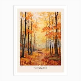 Autumn Forest Landscape Fagus Forest Germany Poster Art Print