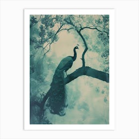 Peacock In A Tree Turquoise Cyanotype Inspired  2 Art Print