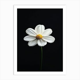 White Daisy 9 Art Print