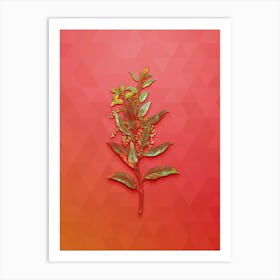 Vintage Evergreen Oak Botanical Art on Fiery Red n.0332 Art Print