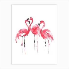 Flamingos 8 Art Print