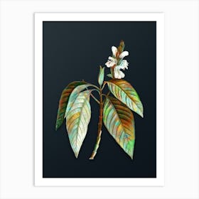Vintage Malabar Nut Botanical Watercolor Illustration on Dark Teal Blue n.0068 Art Print