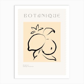 Botanique 3 Art Print