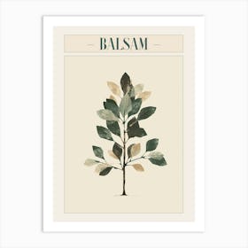 Balsam Tree Minimal Japandi Illustration 3 Poster Art Print