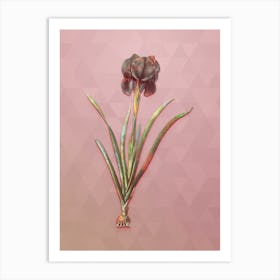 Vintage Mourning Iris Botanical Art on Crystal Rose n.0598 Art Print