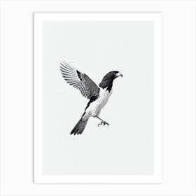 Falcon B&W Pencil Drawing 1 Bird Art Print