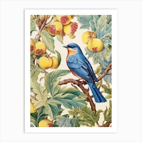 Bluebird On A Branch 2 Art Print