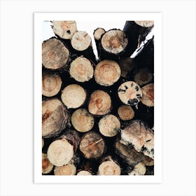 Stacked Logs Art Print