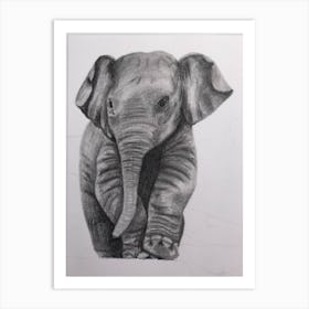 Baby elephant Art Print