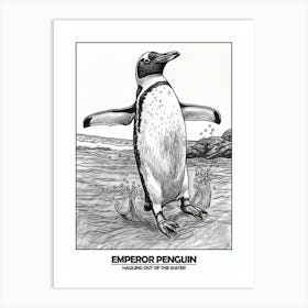 Penguin Hauling Out Of The Water Poster 4 Art Print