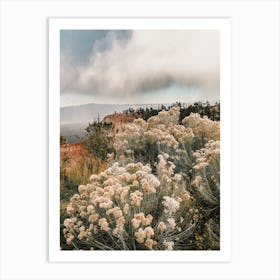 Utah Sagebrush Scenery Art Print