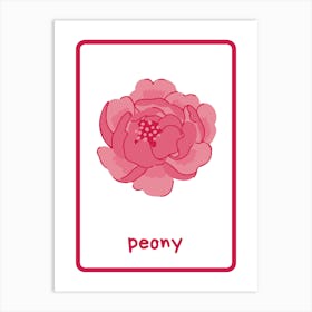 Peony Flower Art Print