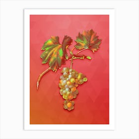 Vintage Grape Vine Botanical Art on Fiery Red n.0204 Art Print
