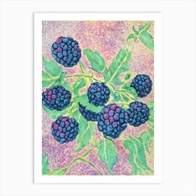 Black Raspberry 1 Vintage Sketch Fruit Art Print