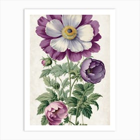 Anemones Art Print