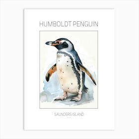 Humboldt Penguin Saunders Island Watercolour Painting 4 Poster Art Print