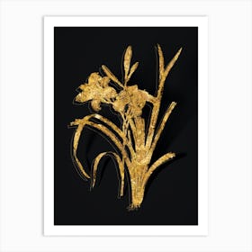 Vintage Orange Day Lily Botanical in Gold on Black n.0313 Art Print