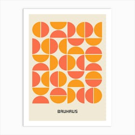 Bruunus Art Print