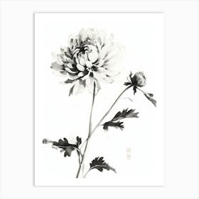 Ink Illustration Of Flower, Blooming Chrysanthemum 1 Art Print