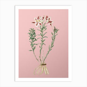 Vintage Lily of the Incas Botanical on Soft Pink n.0446 Art Print